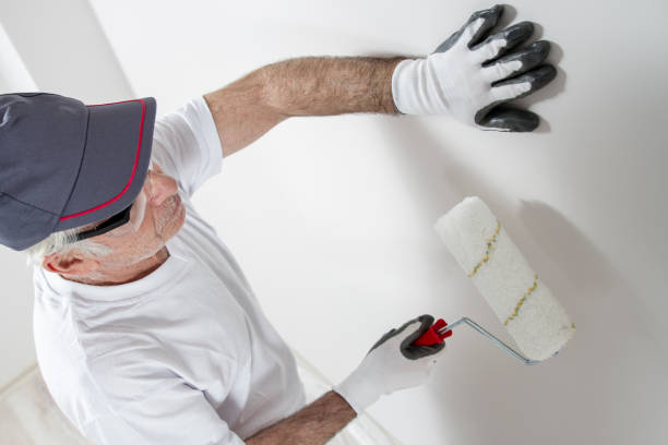 Best Basement Mold Removal  in USA